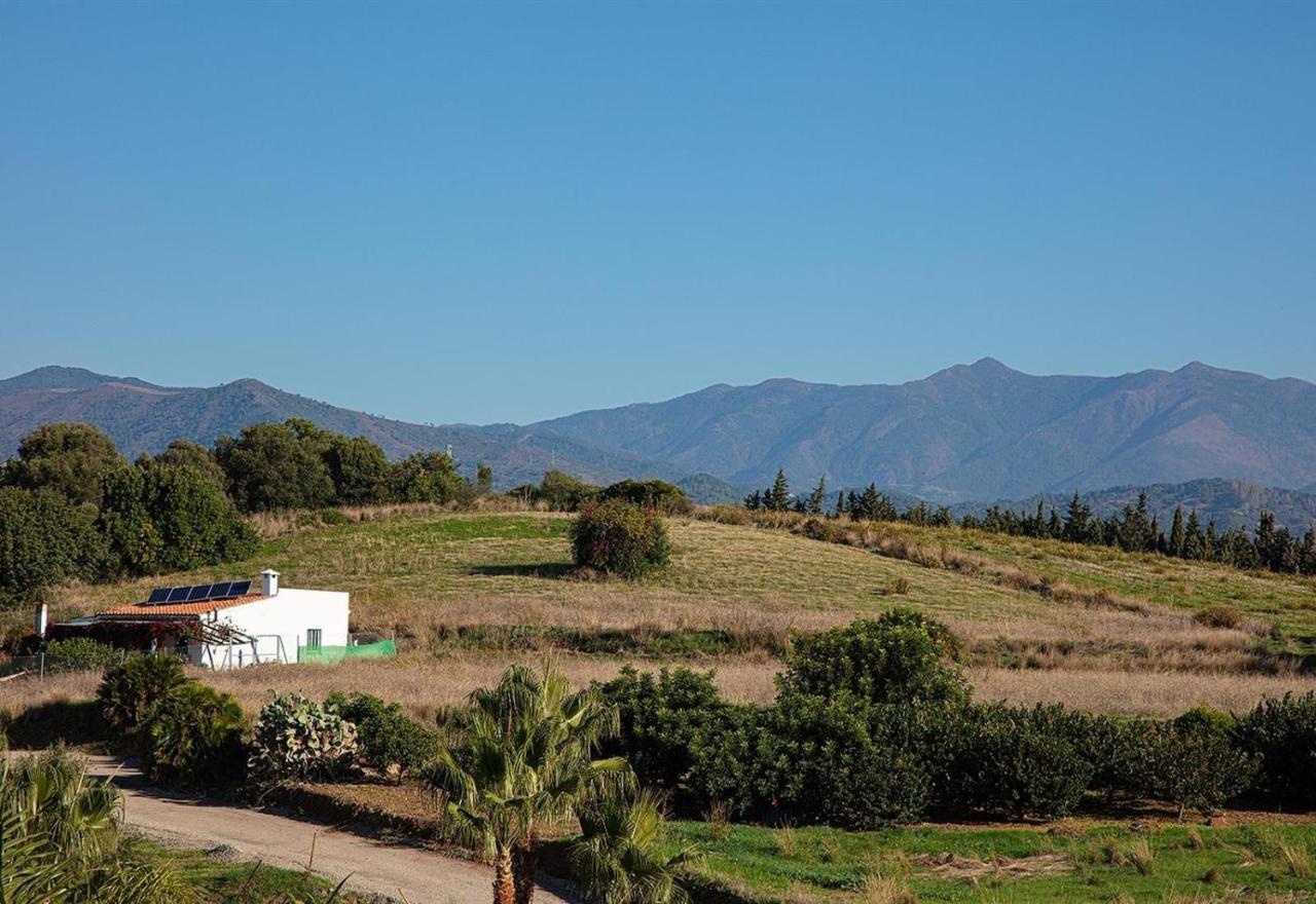 Apartment Boulevard 304 Estepona Exterior photo